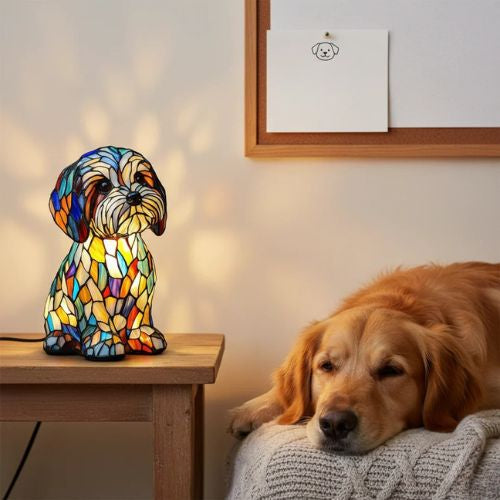 The Charm of Companionship